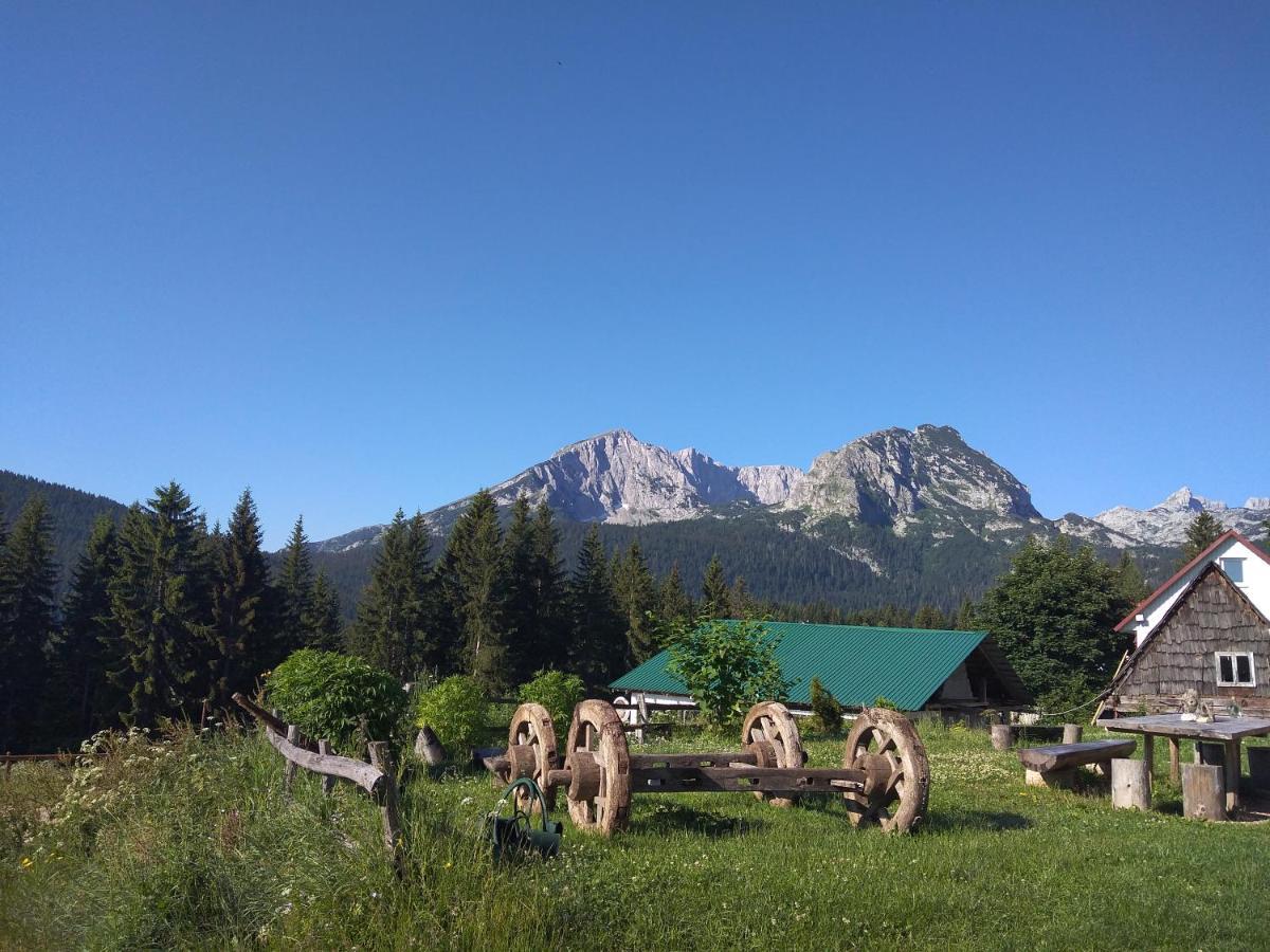 Rooms Apartment Durmitor Zabljak  Bagian luar foto