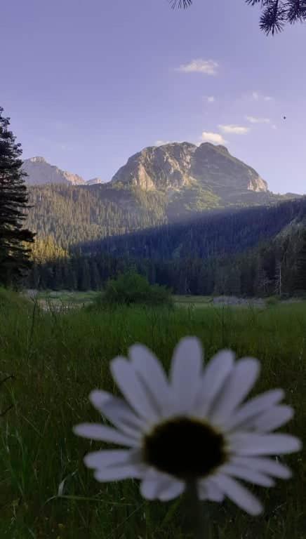 Rooms Apartment Durmitor Zabljak  Bagian luar foto