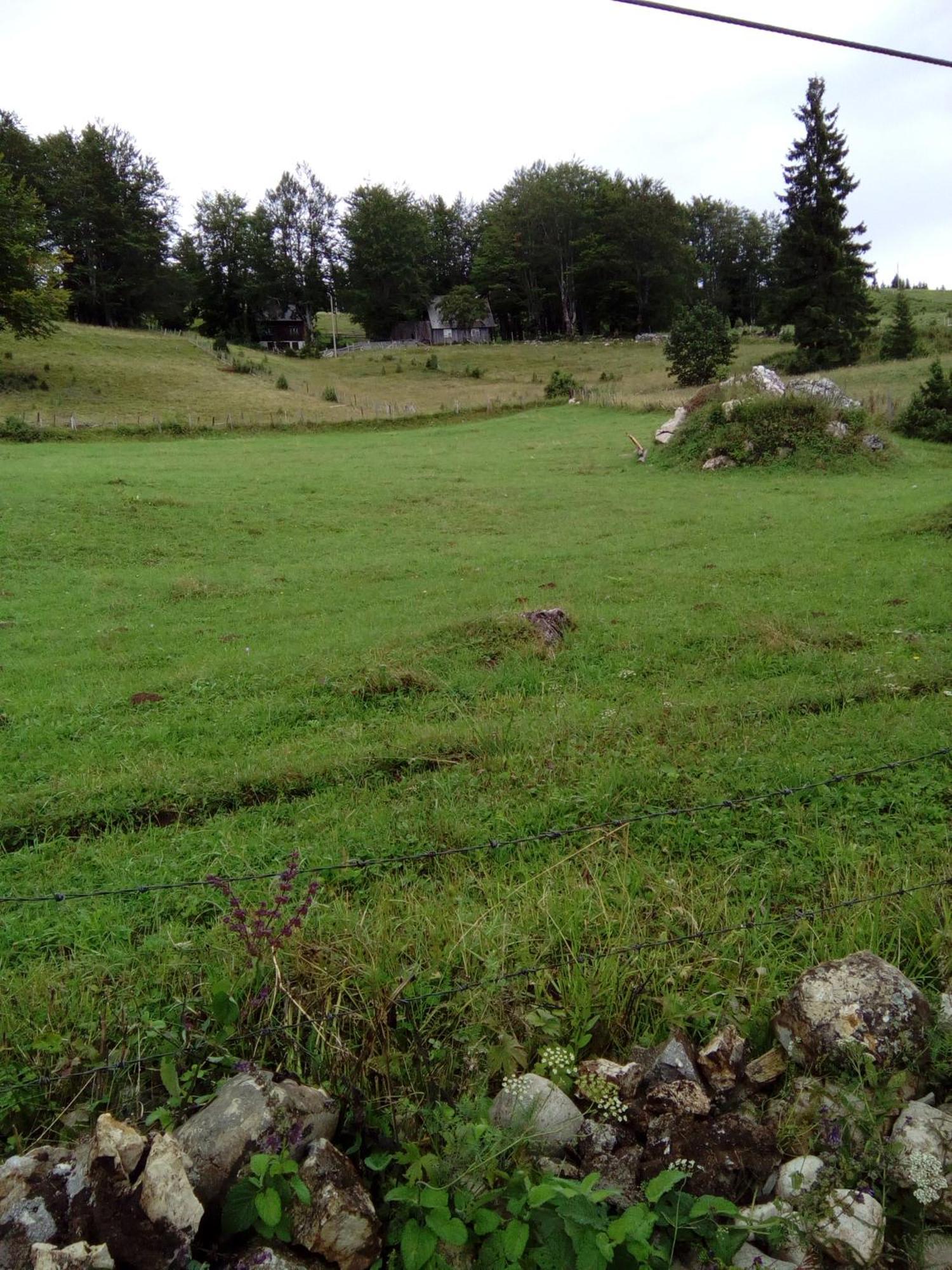 Rooms Apartment Durmitor Zabljak  Bagian luar foto