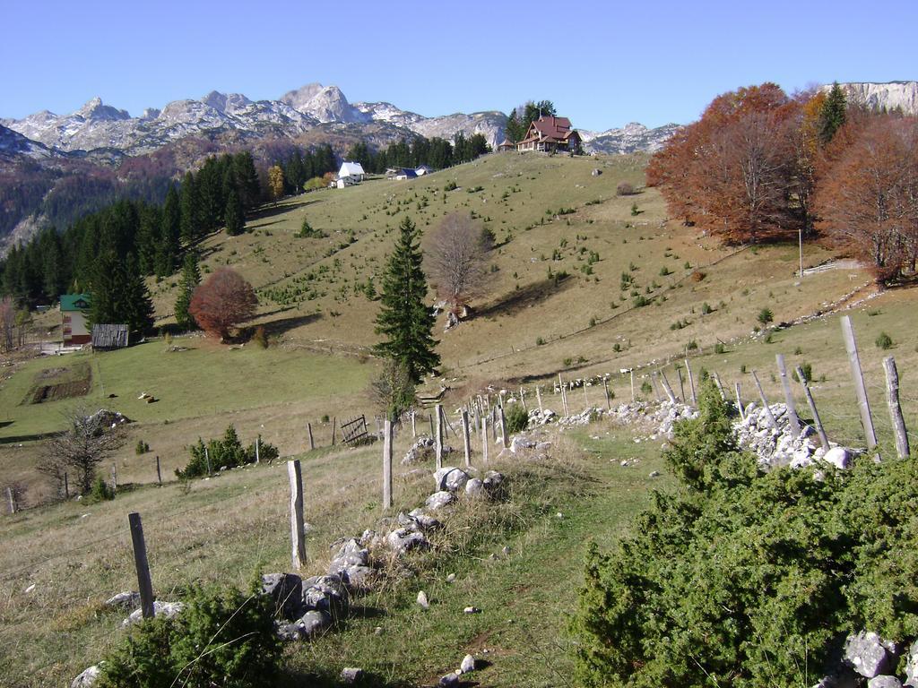 Rooms Apartment Durmitor Zabljak  Bagian luar foto